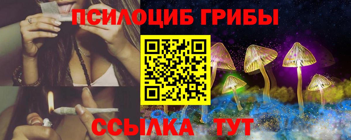 Галлюциногенные грибы Psilocybine cubensis  Вход с VPN  Набережные Челны 